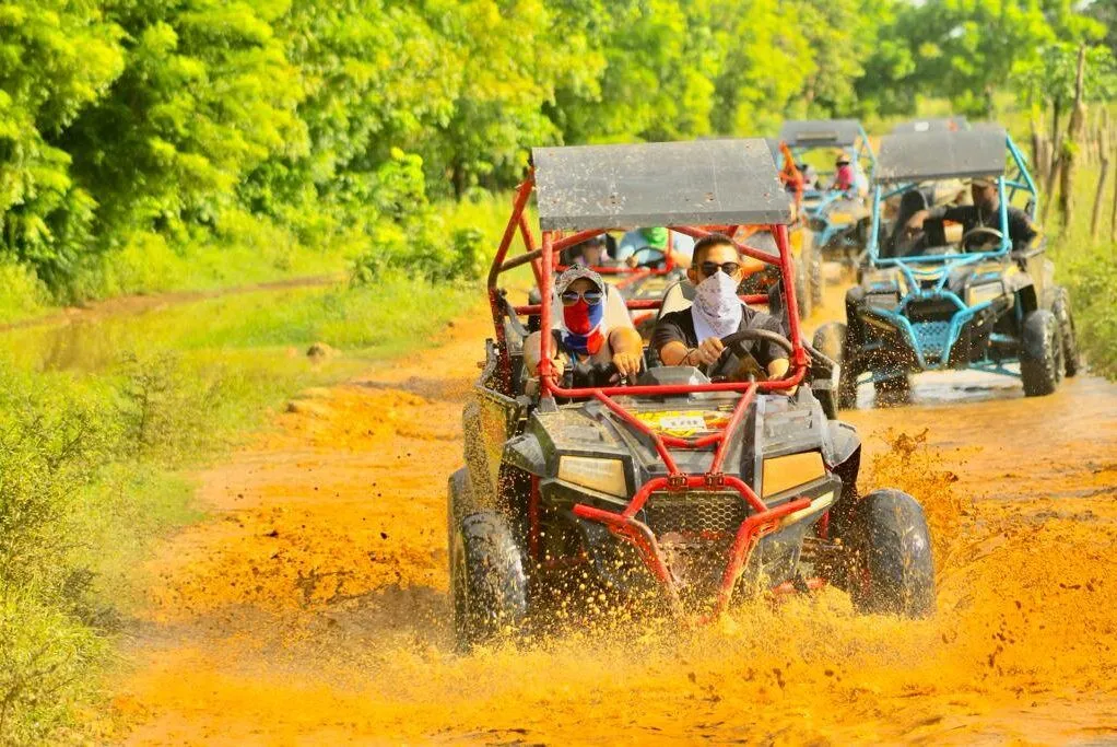 Buggy